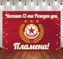 Винил за фон /декорация/ на рожден ден, ЦСКА, футбол, размер 100х70см