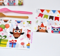 Парти салфетки Бухалчета 33х33 см /Tr/