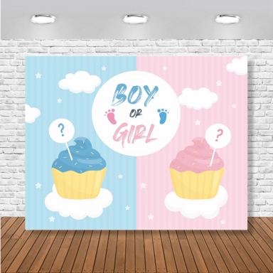 Винил за фон /декорация/ за разкриване на пола Boy or Girl, размер 100х70см