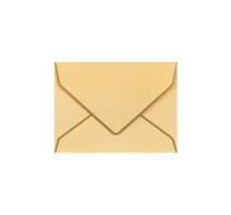 Плик за пари и други от луксозен перлен картон със златен кант /Km/