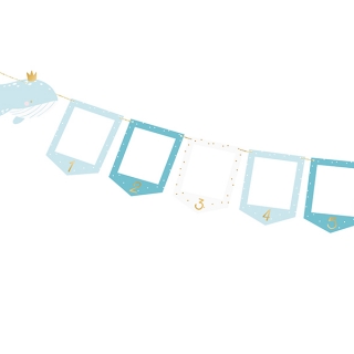 Фото банер за Първи рожден ден, момче, в синьо /Pd/