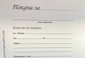 Покана за рожден ден Елза и Ана Замръзналото Кралство, 10 бр. в опаковка