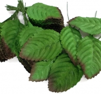 Текстилни листа от роза, цвят тъмно зелен, 5x3 мм, 10 броя /Sa/